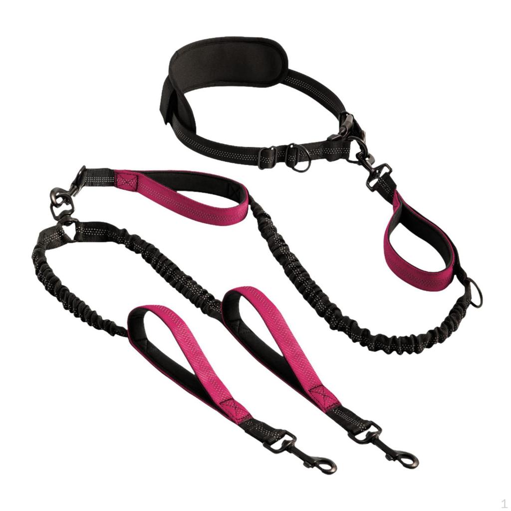 Double Dog Leash Retractable Hands Free No Pull Reflective Bungees for Canicross
