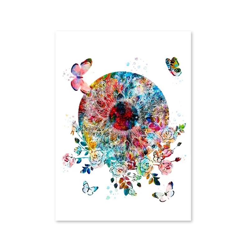 

Абстрактные акварельные плакаты и принты по анатомии глаза, скандинавское настенное искусство, картины на холсте, медицинские картинки для домашнего декора 40x50cm No Framed