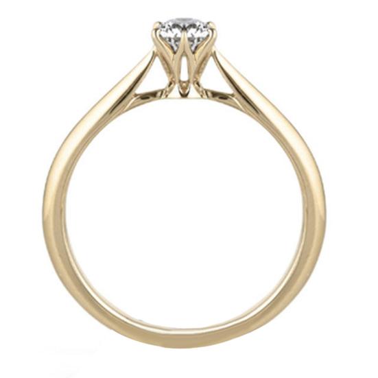 Ring skinnende legering Elegant