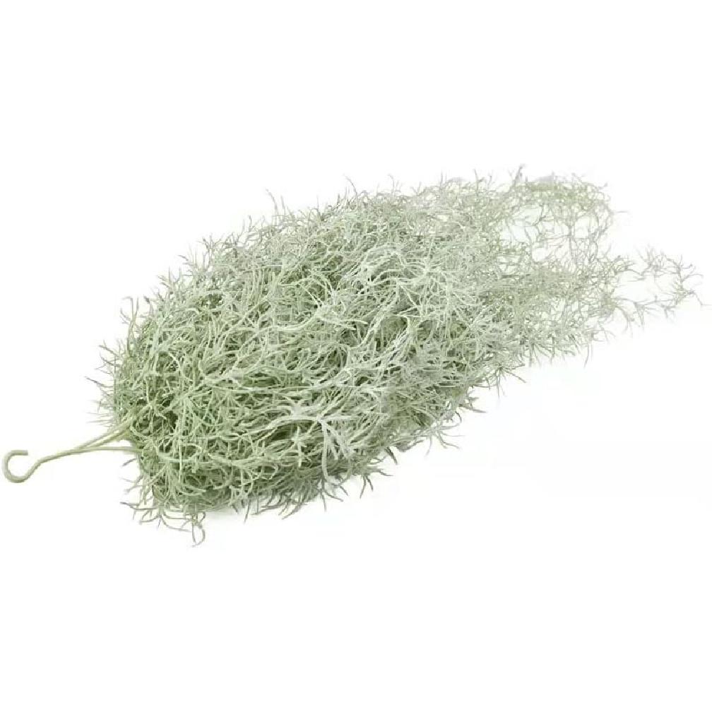 Artificial Spanish Moss Faux Hanging Greenery Moss 31.5 Fake Air Plant Looks Real for Home Outdoor Decoration Pack of 1 Green