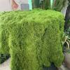 Large Artificial Moss Mat - Lush Green Foliage for Indoor/Outdoor Landscape Beautification, Easy Cutting, Realistic Texture,  Moss Decor