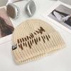 Korean Style All match Knitted Hat Warm Ear Protection Pullover Hat for Women Autumn and Winter Personalized Cold Hat Thickened Plush Hat Small Face