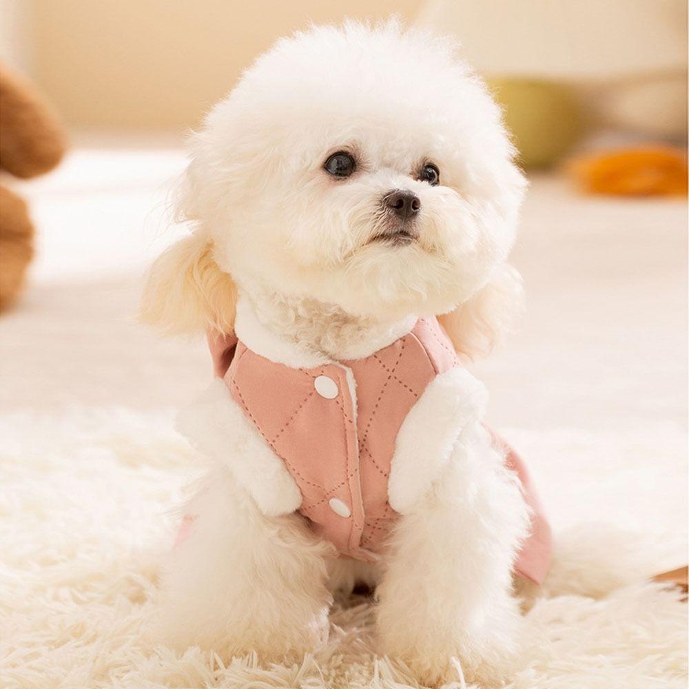 Adjustable Pet Princess Skirt Thickened Cute Wind Dress Cute Puppy Clothes Cat Accessories