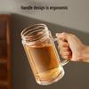 Double-Layer Glass Tea Infuser Mug with Handle