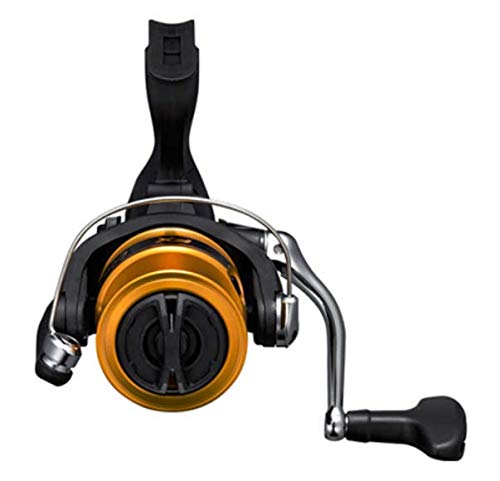 Shimano Trout Reel 19 FX C3000 with 3-gauge, 150m Line