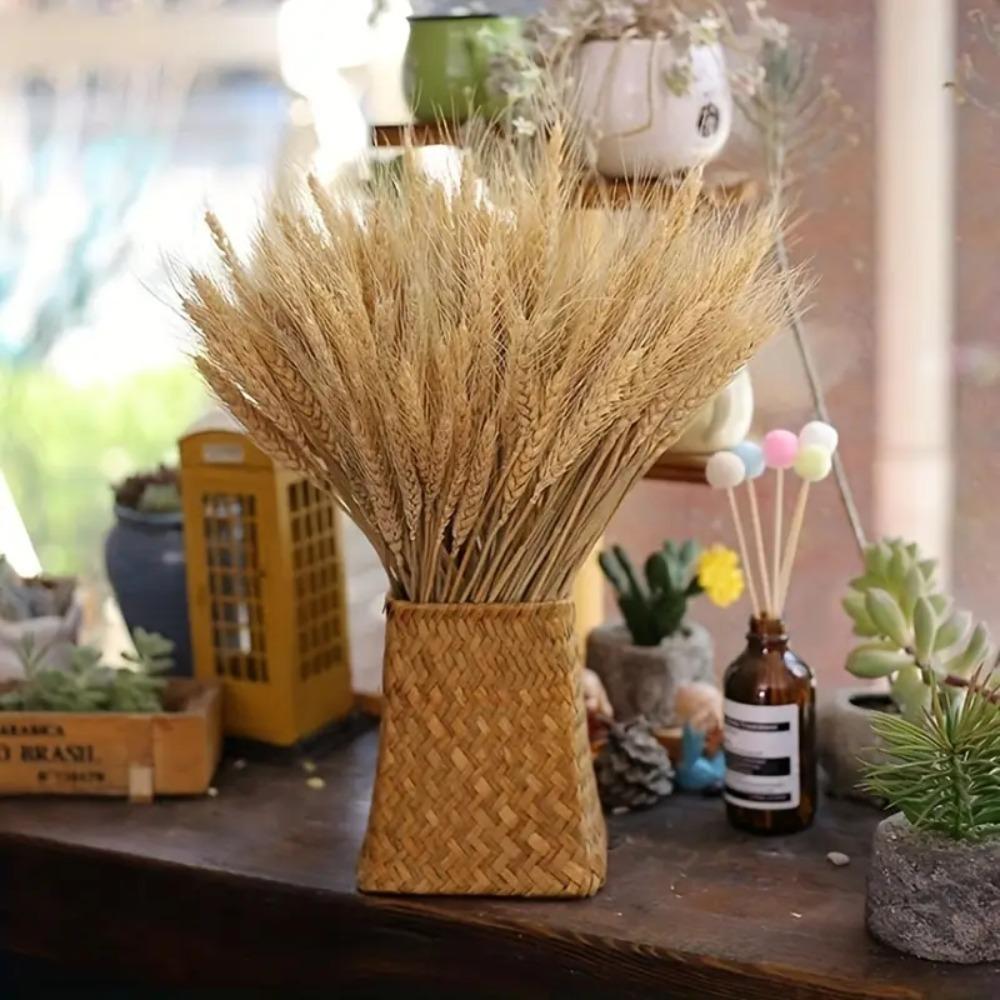 50pcs Natural Dry Wheat Spikes DIY Craft Dried Flowers Dried Wheat Stalks  Home Kitchen Decoration