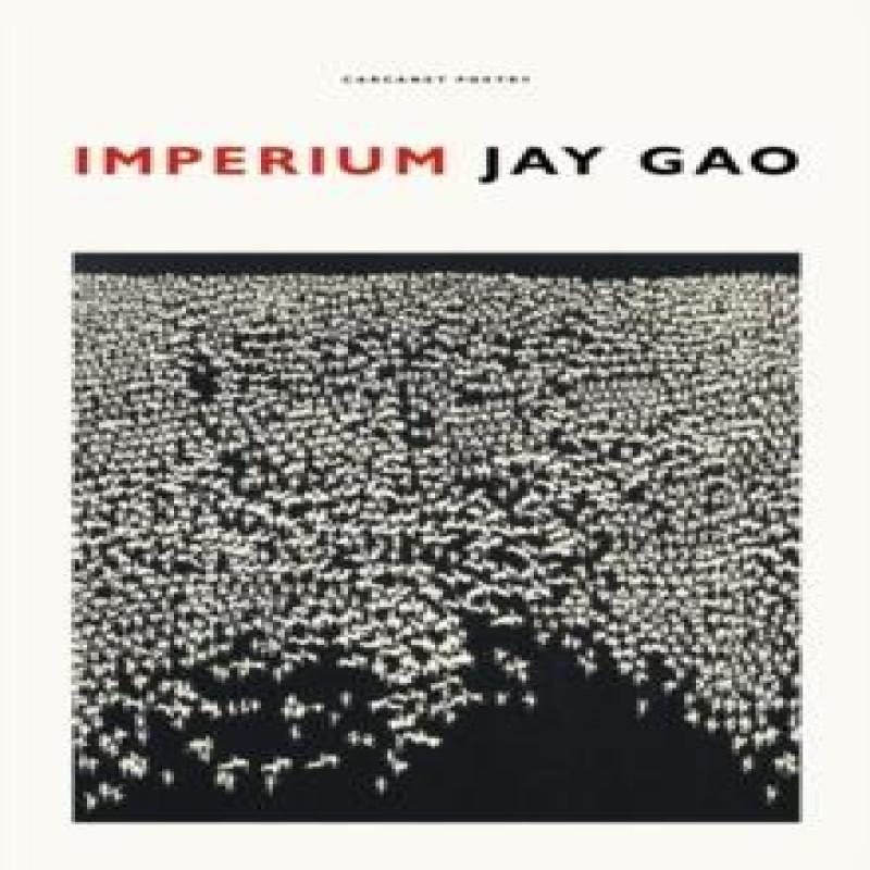 Imperium by Jay Gao Paperback Book 9781800172470