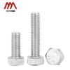 304 Stainless Steel Hexagon Head Bolt