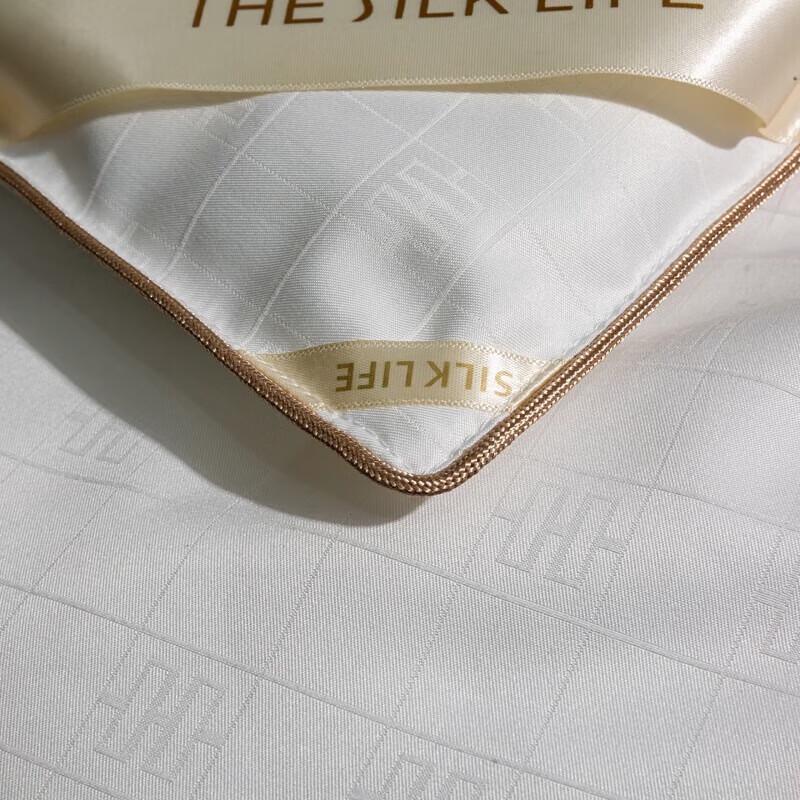 Jie Li Ya Mulberry Silk Summer Quilt