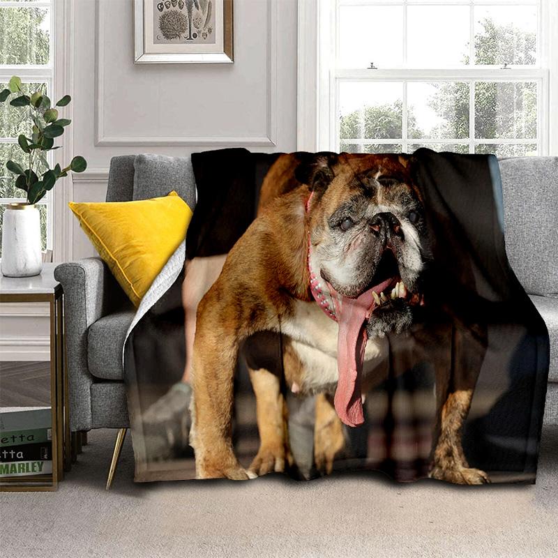 3D Francouzský Pit Bull Pes Domácí Mazlíček Kreslenádeka, Měkká Přehozovádeka pro Domov Ložnici Postel Pohovku Piknik Cestování Kancelář Krycídeka Děti