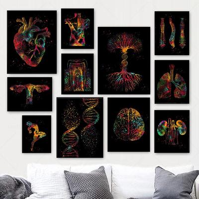 Human Anatomy Muscles DNA Neuro Wall Art Canvas Painting Posters And Prints Body Map Wall Pictures Medical Education Home Decor
