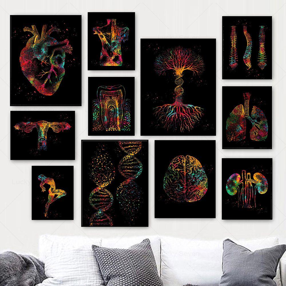 Anatomia Umana Muscoli DNA Neuro Arte Murale Pittura su Tela Poster e Stampe Mappa del Corpo Immagini Murali Educazione Medica Decorazione per la Casa