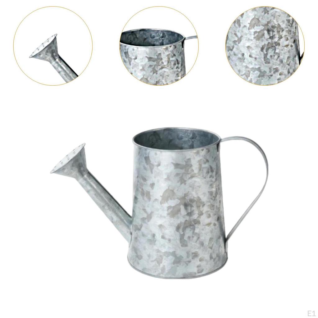 Antique Watering Can Vintage Design Metal Dried Flower Vase Decorative Jug Tabletop