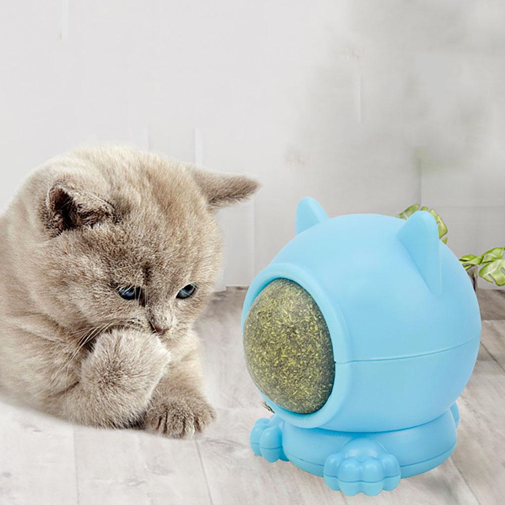 Buy Pet Cat Supplies Cat Toys Molar Cleaning Teeth Tease Cat Mutian