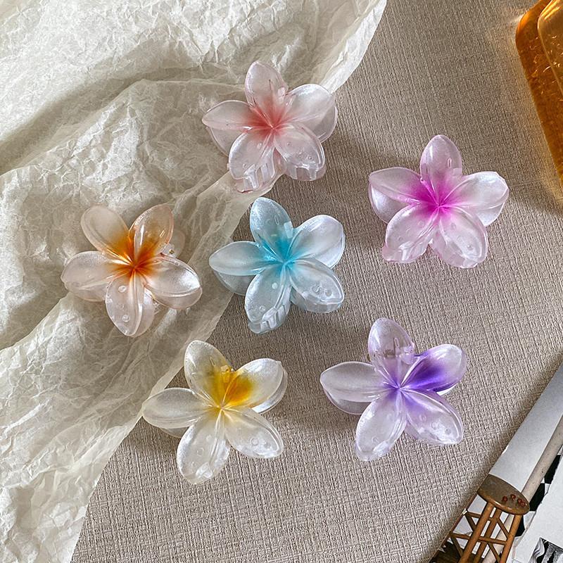6cm Acryl Farbverlauf Frangipani Haarspange Damen Koreanisch Süß Haifischclip Haaraccessoires