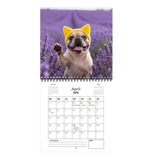 Französische Bulldogge Kalender 2026 Januar 2026 - Dezember 2026 12 Monatskalender Lustiger Frenchie Wandplaner für Zuhause Büro