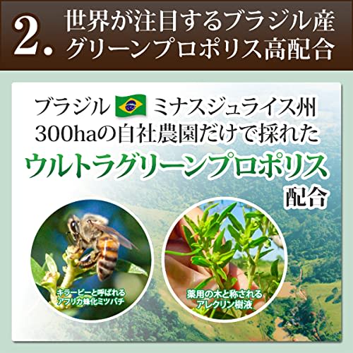 Propolis-infused Medicated Toothpaste, Propodental EX (80g) - Propolis Toothpaste for Toothpaste, Periodontal Disease Prevention, Bad Breath Care, and