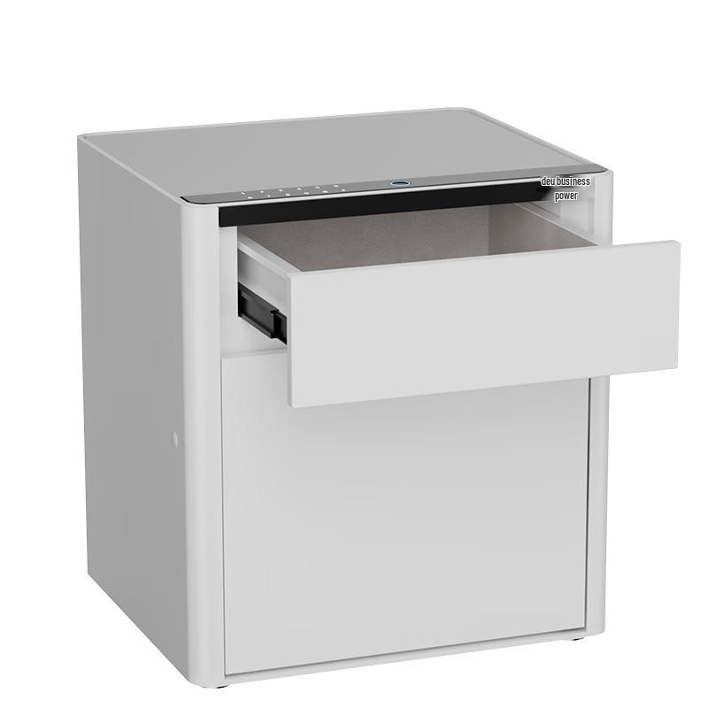 Deli 50cm Fingerprint & Password Home Safe AE310