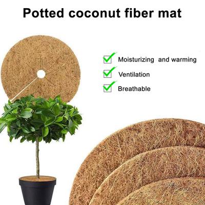 Progettazione giardini e paesaggi – Supporti per piante