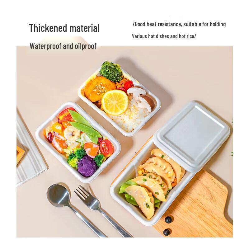 Einweg-Takeout-Lebensmittelbehälter