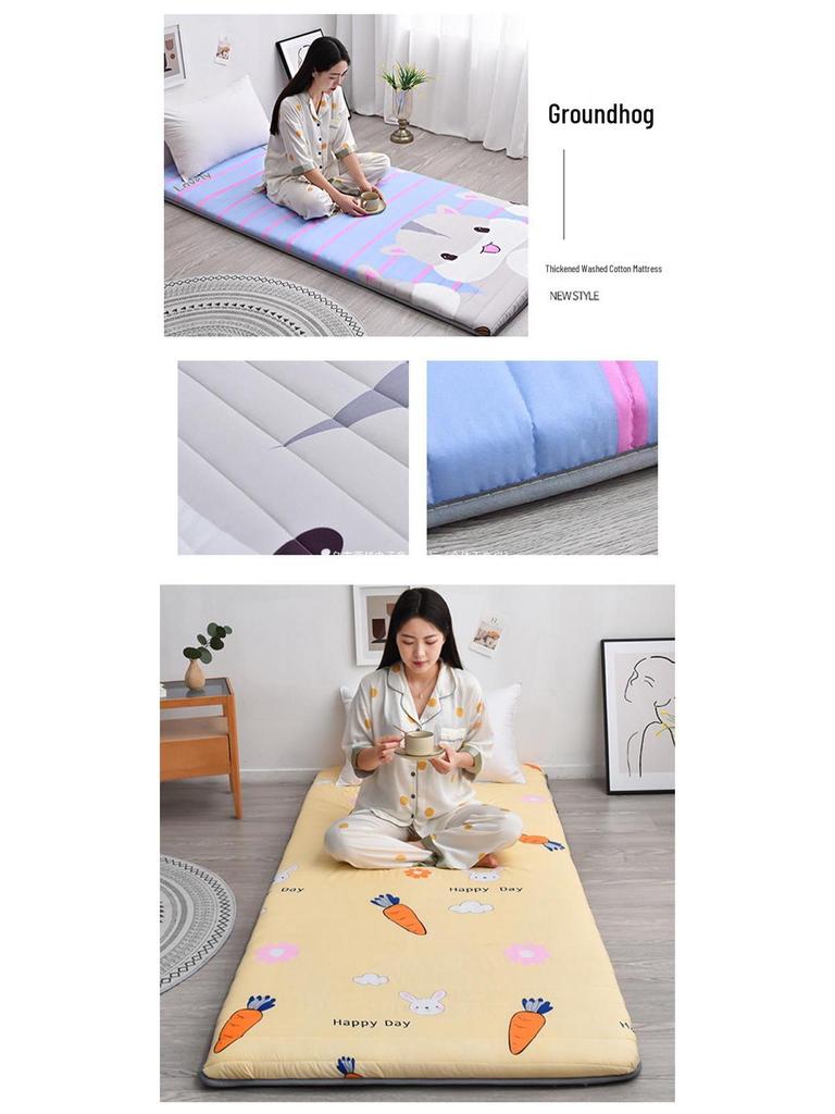 Winter Sponge Mattress Pad for Dormitory or Child's Bedroom
