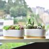 Facecolor Oval Cactus Set of Flower Succulent Ceramic Succulent Mini Ceramic Cactus Planter Small Planter Pots for Mini Plants with Drain Holes and