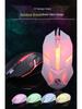 Li-Mage GTX300 White RGB Backlit USB Gaming Keyboard and Mouse Set