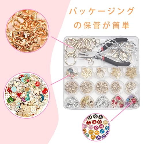 Acidea DIY Keychain Products 319 Pieces, Keychain Charms Accessory Parts Set, Metal Keychain Pendant Making Kit for Gift Accessories and Craft Jewelry