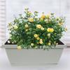 4pcs Window Box Planter Plastic Vegetable Flower Boxes Rectangular Flower Pots with Saucers Indoor Outdoor Plant Box