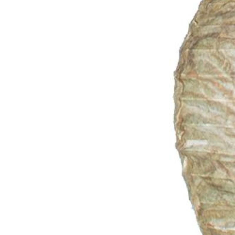 11x8.7 Inch Wasp Nest Decoy Hanging Yellow Jacket Deterrent