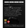 Final ZE3000 SV Wireless Earphones Hi-Res ANC Black
