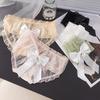 Ruffle Women's Underwear Transparent Triangle Bow Panties Lingerie Mesh Briefs Daily