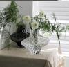 Luxury Glass Hydroponic Flower Vase: Elegant Home Decoration for Living Room