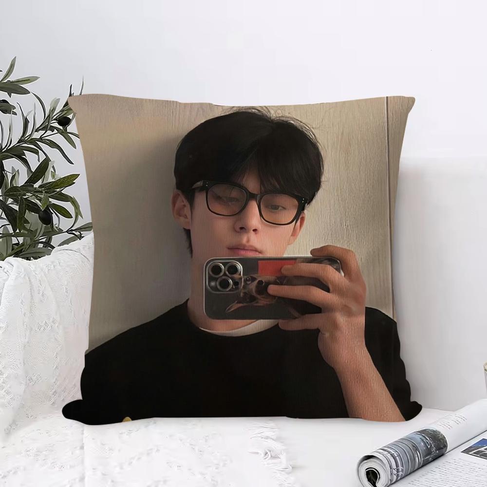Cosmetic Playlover Cushion Cover Anti-dustmite Pillowcase Invisible Zipper Silky Short Plush Sofa Cushion Cover