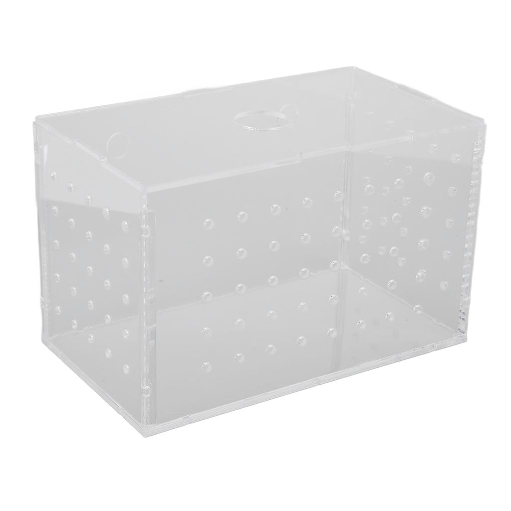 Fiskeoppdrettsboks Akryl med høy gjennomsiktighet Klekkeri Inkubatortank med sugekopper for baby