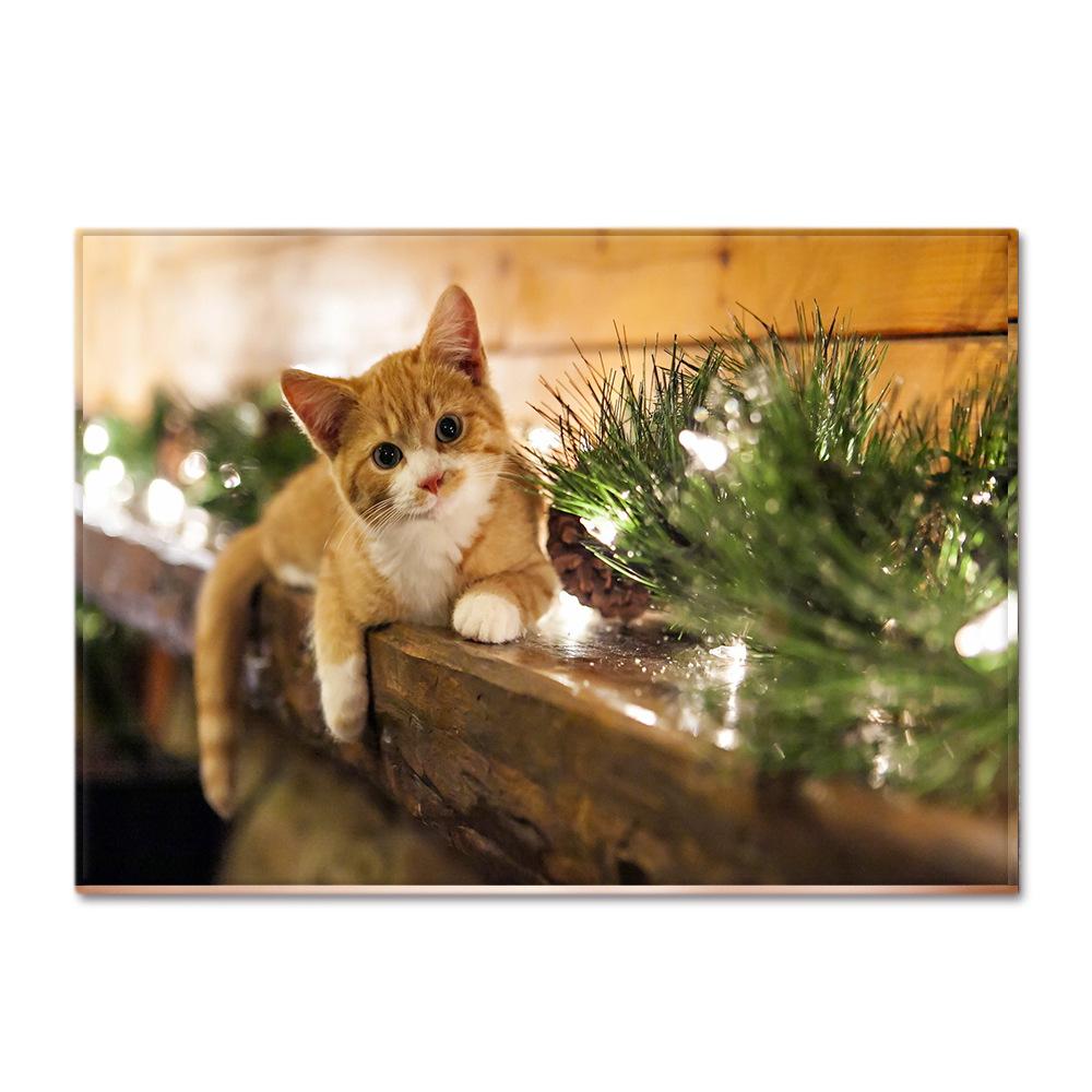 Animal Carpet Feather Wind Bedroom Floor Mat