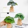 1 szt. Ornament Pełen Witalności Zielone Rośliny Świeże Symulowane Kwiaty Naturalne Bonsai Wewnętrzna Symulowana Roślina Doniczkowa