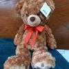[USED] Teddy Bear Stuffed Animal