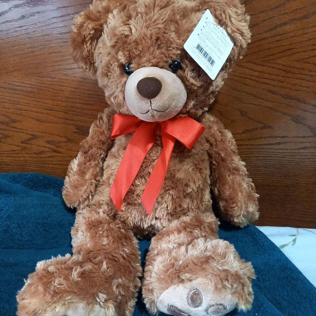 [USED] Teddy Bear Stuffed Animal