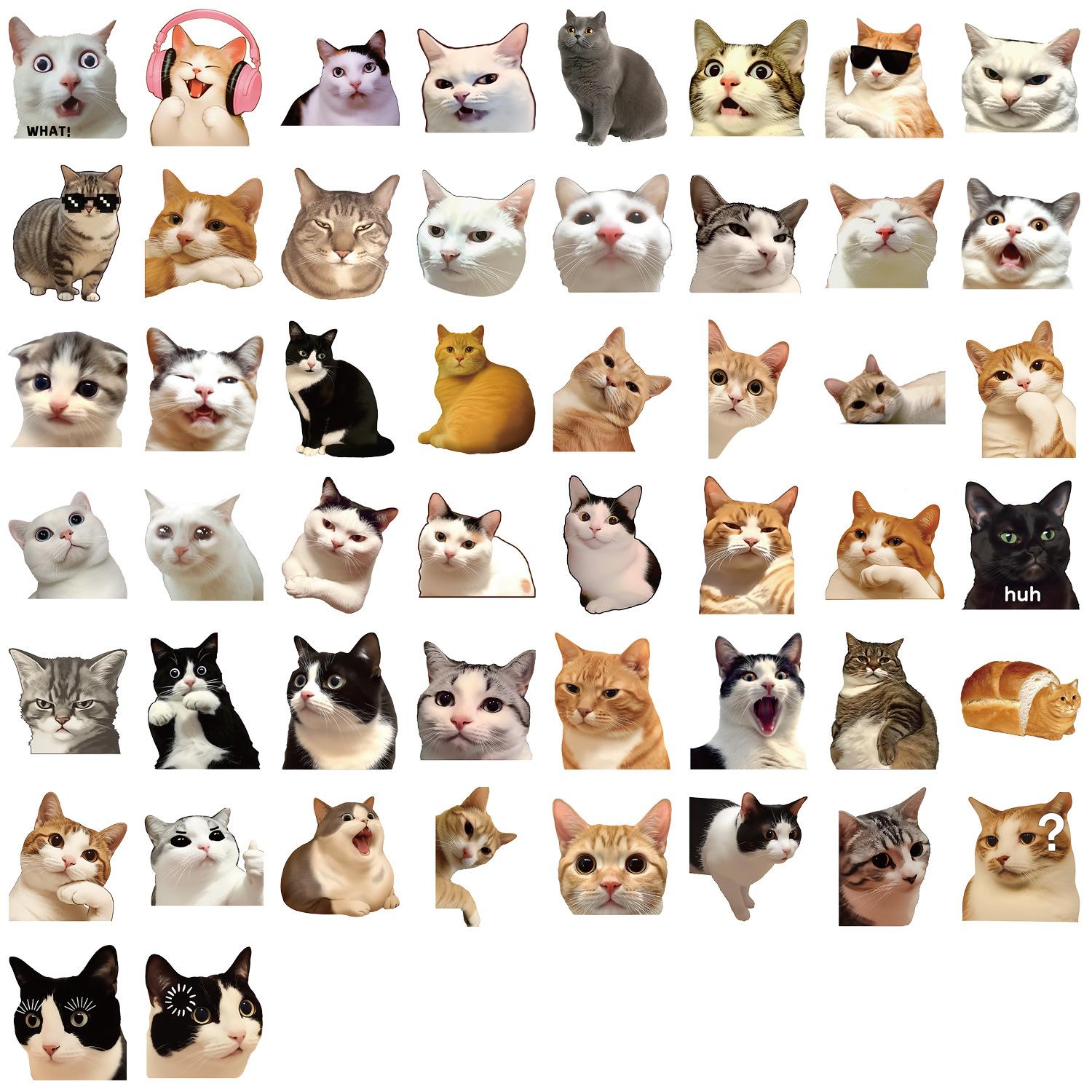 

50/100 Pcs Clear Cartoon HD Cat Waterproof Stickers DIY for Phone Scrapbook Suitcase Wall Helmet Headphone Decals