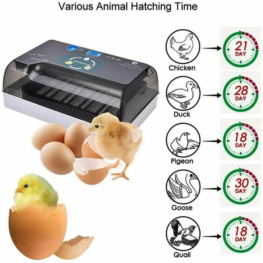 12 Egg Incubator Automatic, Digital Smart Incubator with Auto Turner & Temperature Control, for Hatching Chicken, Duck, Goose Eggs