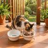 Prevent Tipping Ceramic Cat Bowls Non-Slip Cat Water Bowls Pet Feeding Dish  Pet Feeding