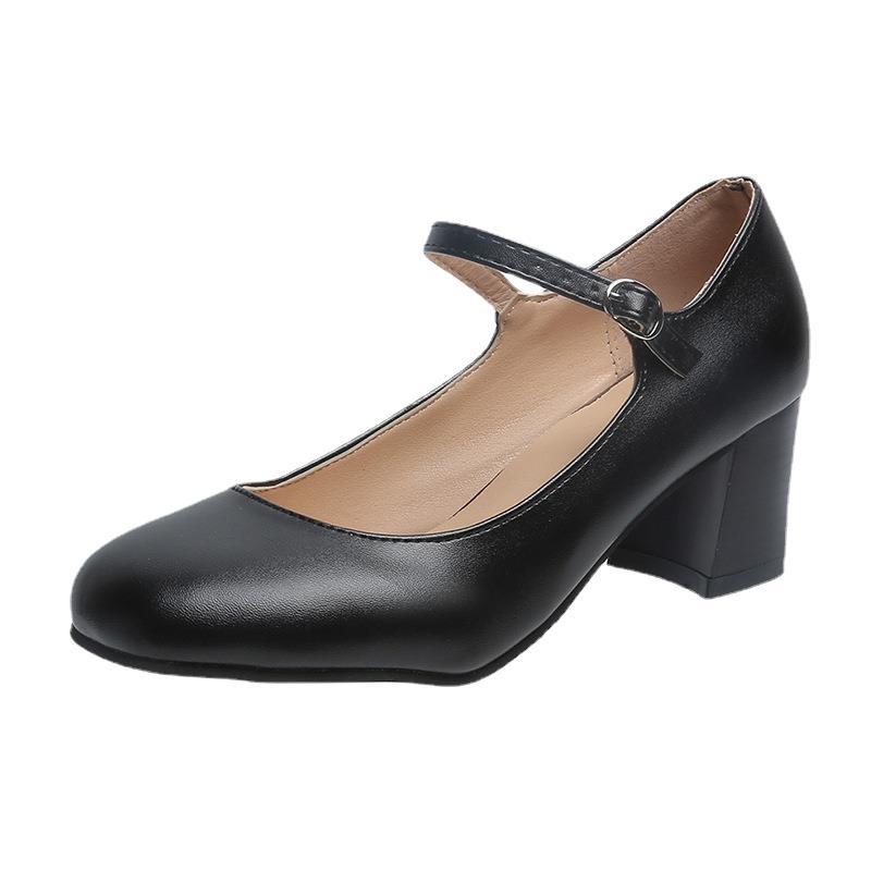 Single shoes women's new spring and autumn Mary Jane shoes retro thick heel mid-heel