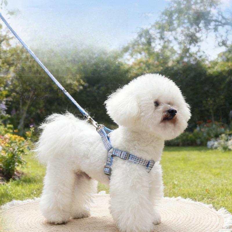Pet Dog Chest and Back Traction Rope Y-shaped Chest Strap Vest Style Dog Walking Rope Teddy Bear Shiba Inu Vest Dog Rope Set
