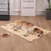 Reusable Pet Cooling Mat Waterproof Gel Pad For Dogs And Cats Summer Non Toxic Cool Bed Mat