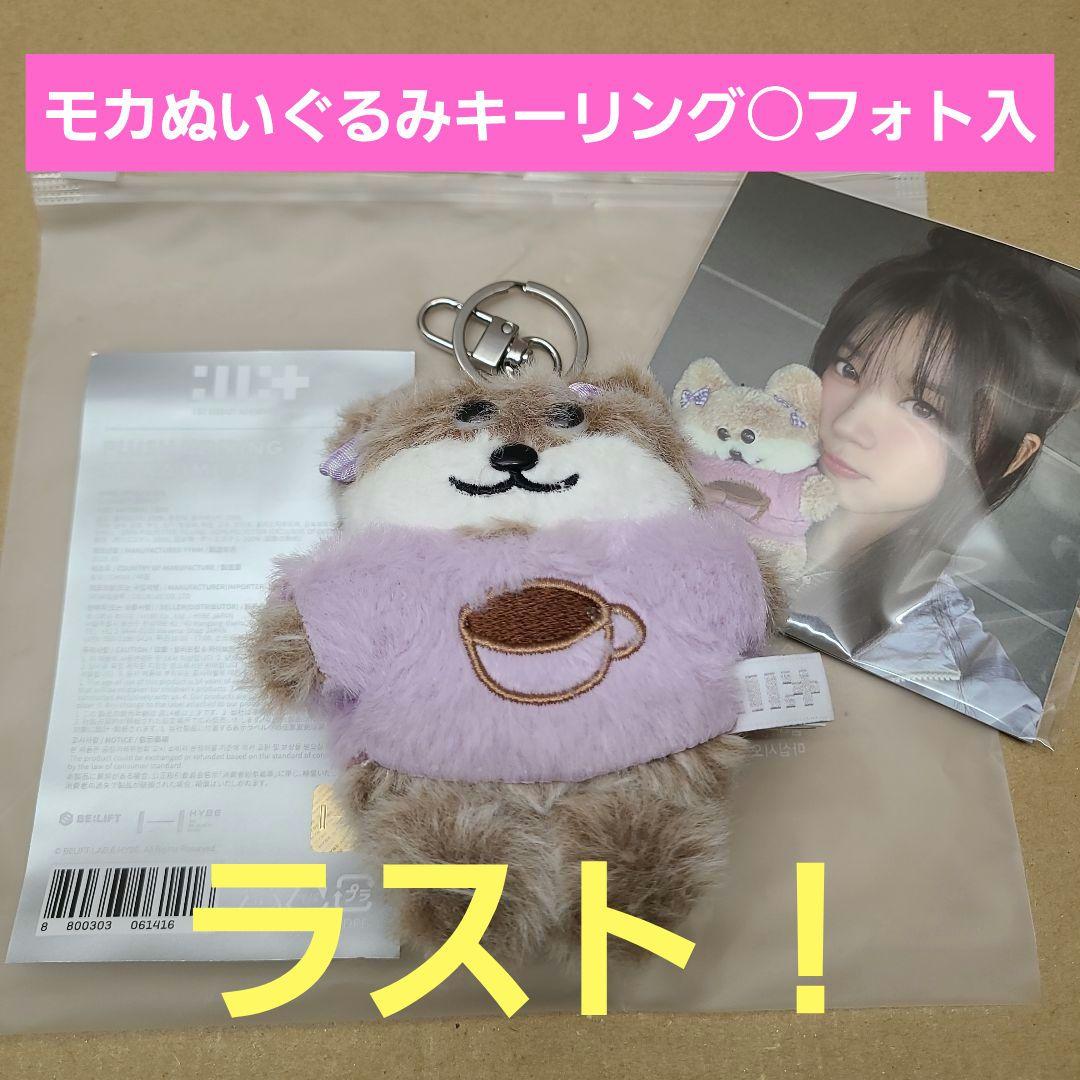 

[Б/У] ILLIT Мокка Плюшевый Брелок с Фото Товары к 1-й Годовщине