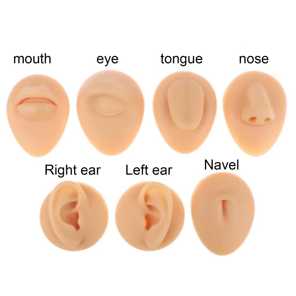 Medium Skin Tone Silicone Flexible Model Body Part Displays Set Simulation Body Pierce Tool Kit for Practice