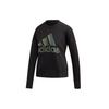 Loose Fit Casual Crew Neck Fleece Lined Pullover Sweatshirt Women's Black DZ8676