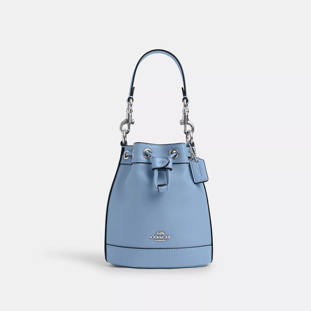 

Мини-сумка-ведро Coach серебряная васильковая полевая флора