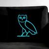 DDrake OOvo Owl Cushion Cover Pillowcase Ultra Soft Skin Friendly Fabric Cloud Like Comfort Concealed Zipper